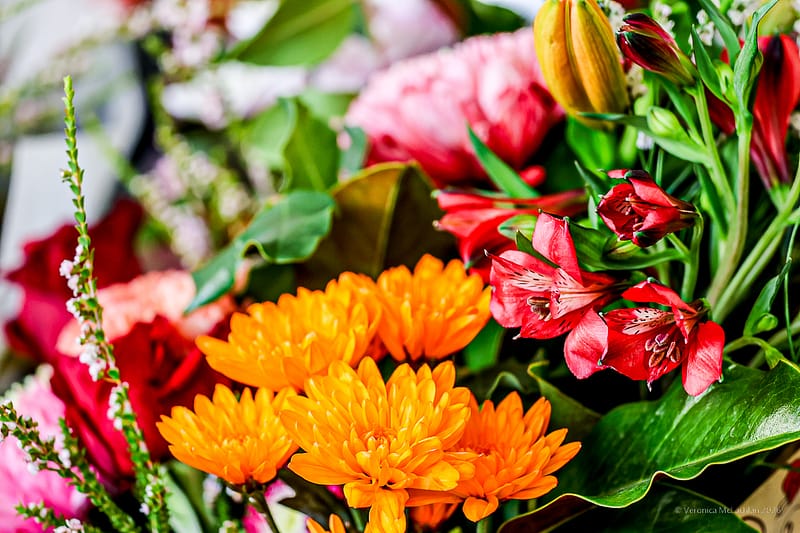 Valentine’s Day, Acacia Art Florist, Port Augusta, photograph 1 of 4