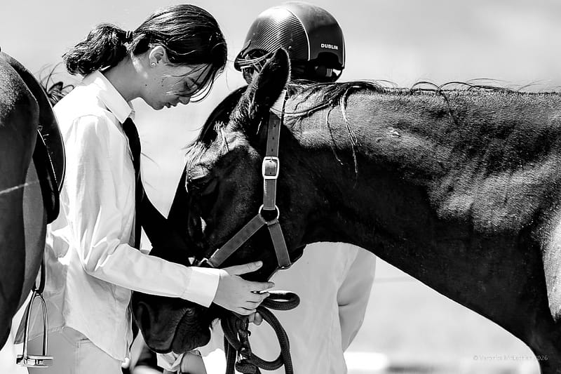 Port Augusta Pony Club, Port Augusta, photograph 1 of 9