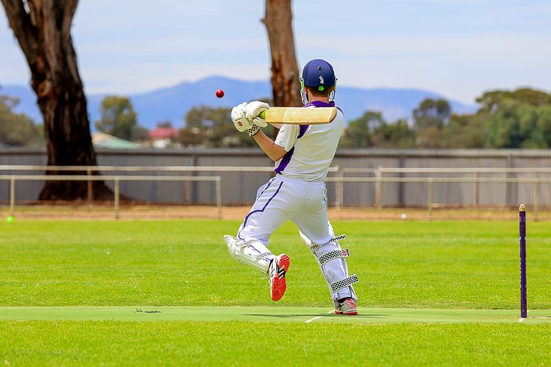 Port Augusta Cricket Association, Port Augusta, photograph 1 of 4