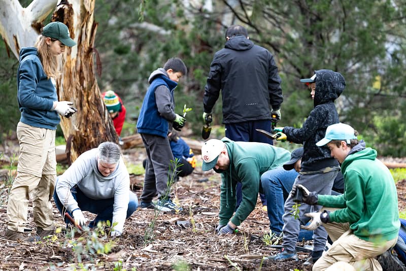 National Tree Day – Conservation Volunteers Australia, Athelstone SA, photograph 1 of 12